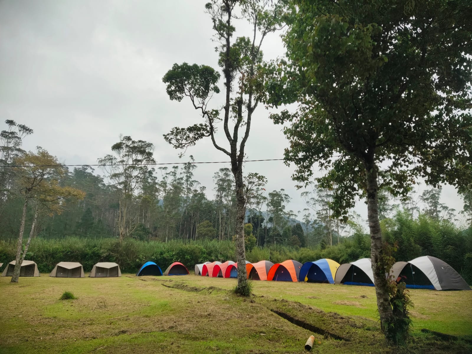 Sewa Tenda Ranca Upas Termurah 2026: Harga, Paket Camping & Cara Booking | Ranca Upas Experience