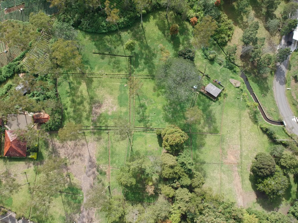 Camping sekolah di Rasamala Ranca Upas
Area camping Rasamala Ranca Upas
Camping rombongan di Rasamala Ranca Upas
Tenda camping di bawah pepohonan Ranca Upas
Rasamala Ranca Upas untuk camping sekolah