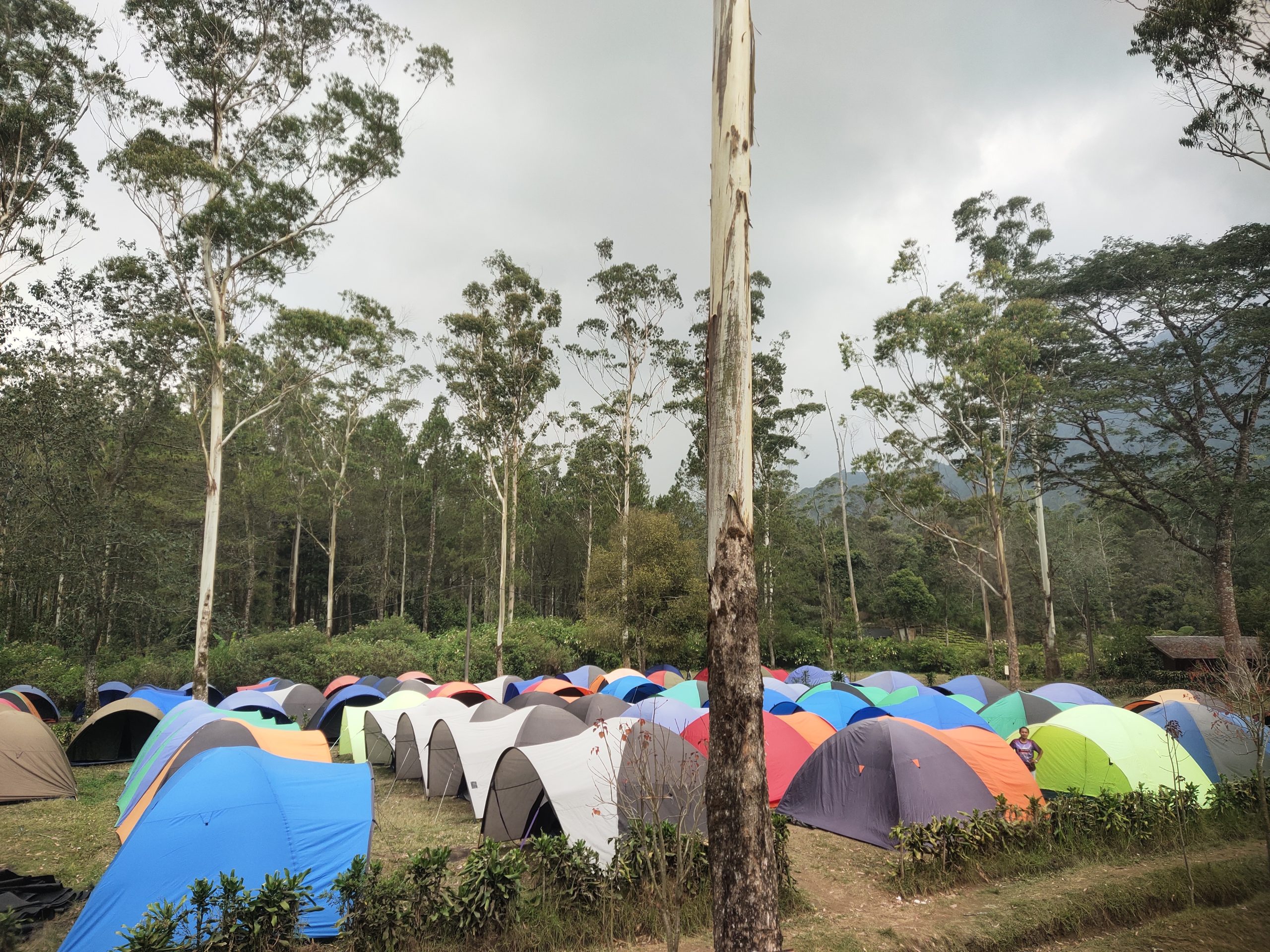 Paket Sewa Tenda Ranca Upas kapasitas 2 4 6 dan 12 orang